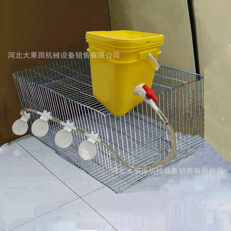 Pigeon Water Bowl, Automatic Drinking Bowl, Water Dispenser for Poultry, Birds, and Chicks, Bowl-Style Water Cup for Racing Pigeon Breeding